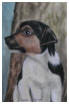 Jack Russel - Gouache sur soie - Fontanges