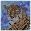 Le jaguar - acrylique - Elewaut